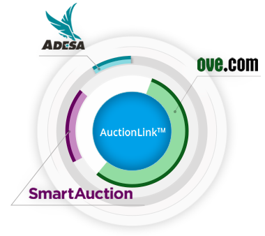 Auction Link